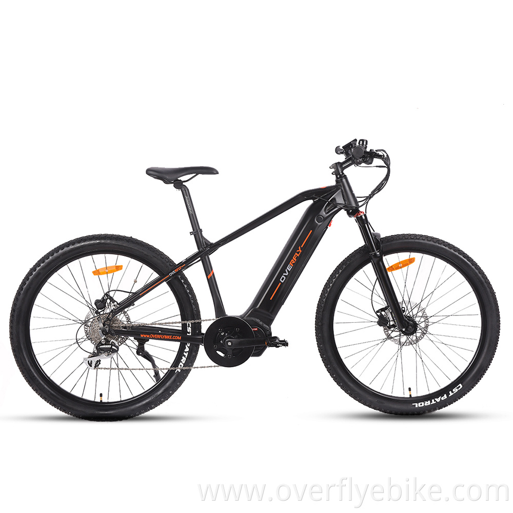 mountain electric bikes